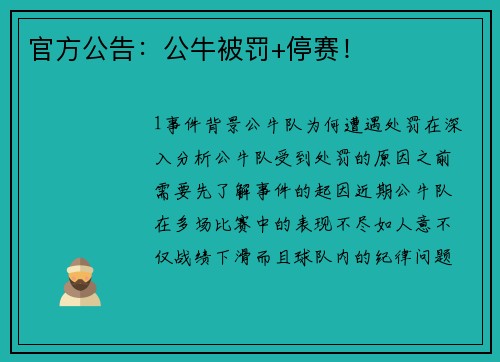 官方公告：公牛被罚+停赛！